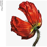 土曜限定値下げ 非売品 Petshop boys ペットショップボーイズ 大型 非売品 Petshop boys ペットショップボーイズ 大型